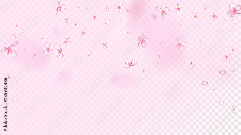 Nice Sakura Blossom Isolated Vector. Tender Blowing 3d Petals Wedding Frame. Japanese Funky Flowers Illustration. Valentine, Mother's Day Beautiful Nice Sakura Blossom Isolated on Rose