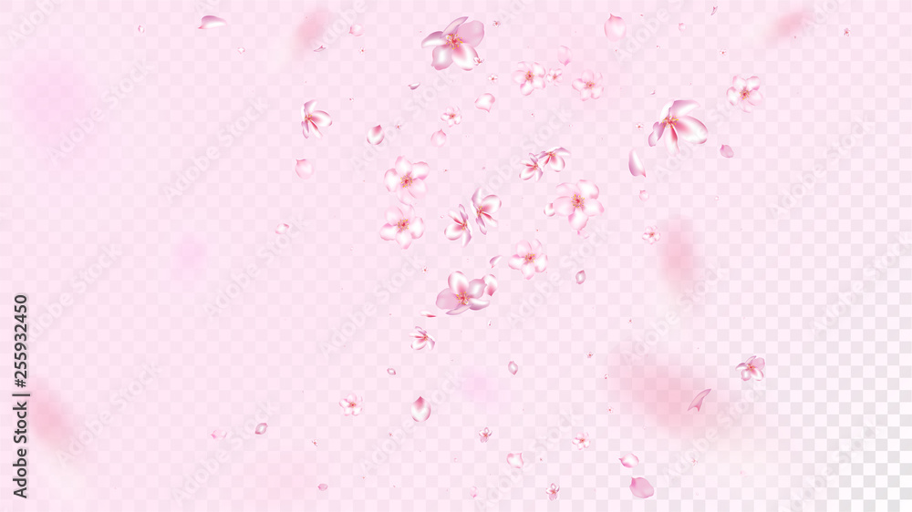 Nice Sakura Blossom Isolated Vector. Tender Blowing 3d Petals Wedding Frame. Japanese Gradient Flowers Illustration. Valentine, Mother's Day Tender Nice Sakura Blossom Isolated on Rose
