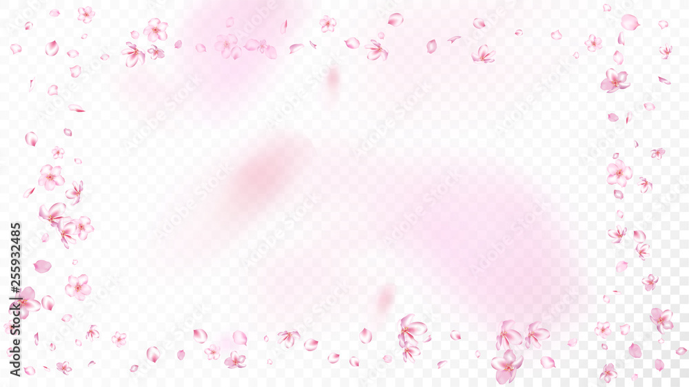 Nice Sakura Blossom Isolated Vector. Summer Showering 3d Petals Wedding Frame. Japanese Blooming Flowers Wallpaper. Valentine, Mother's Day Realistic Nice Sakura Blossom Isolated on White