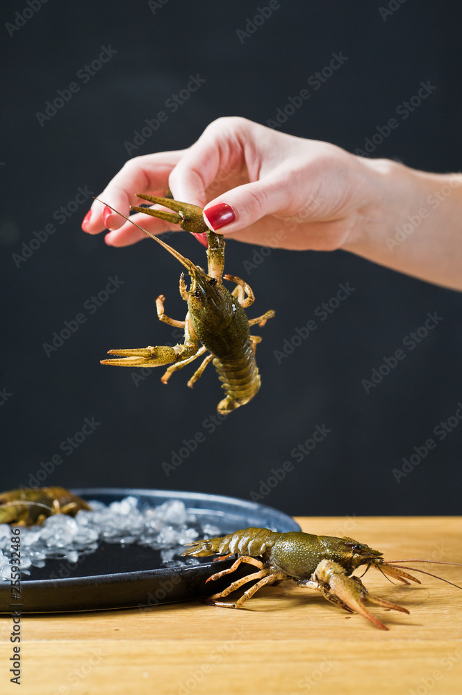 The chef holds a live crayfish. Black background, side view, space for text.