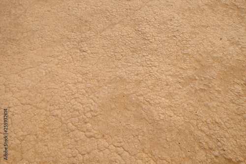 crack ground texture
