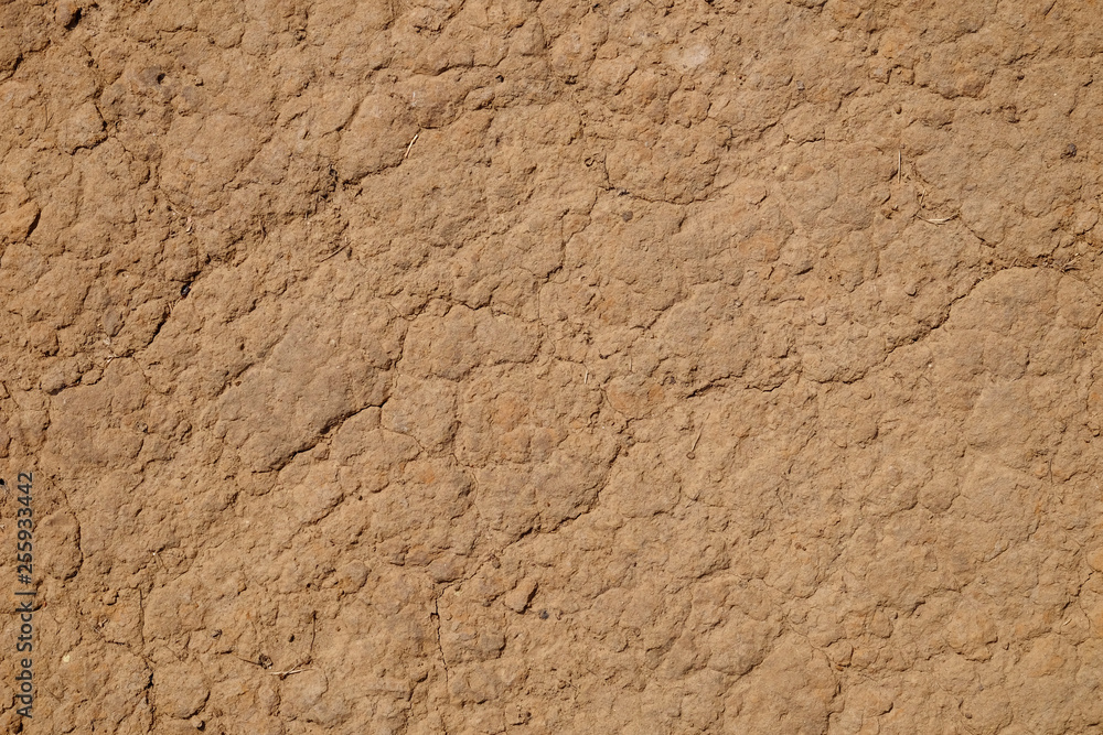 Red Dirt Road texture