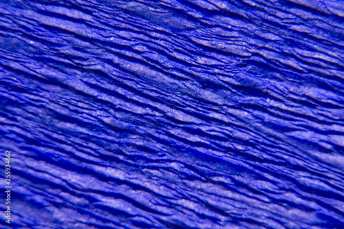 Wrinkled and crumpled blue paper as background or texture. Macro, close-up of paper.