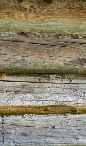 beautiful wooden wall of logs