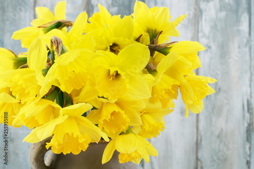 Huge bouquet of yellow daffodils