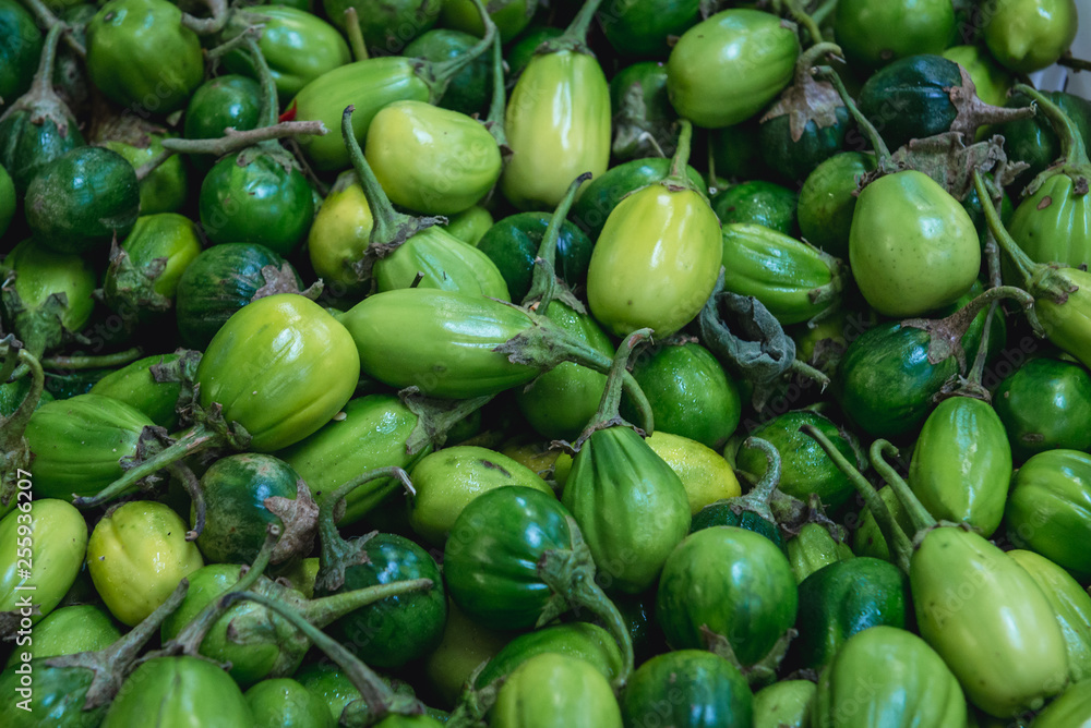 Green Gilo - Scarlet Eggplants in Livramento food market in Setubal town, Portugal Green Gilo - Scarlet Eggplants in Livramento food market in Setubal town, Portugal