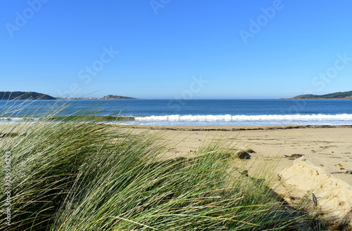 Beach with vegetation in sand dunes, waves and blue sky. Galicia, Spain.