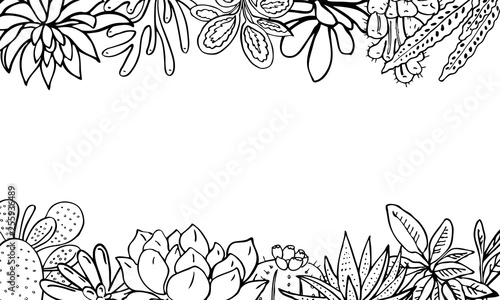 Rectangular frame with houseplants, cactuses and succulents on top and bottom. Vector hand drawn outline sketch illustration