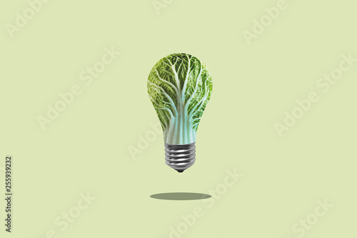 Green energy for human health. The concept of ecology and vegetarianism. Green leaf lettuce in a light bulb
