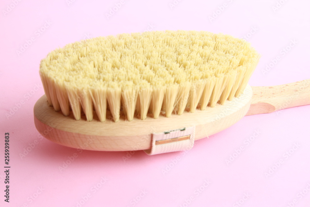 shower brush for the back shower brush for the back