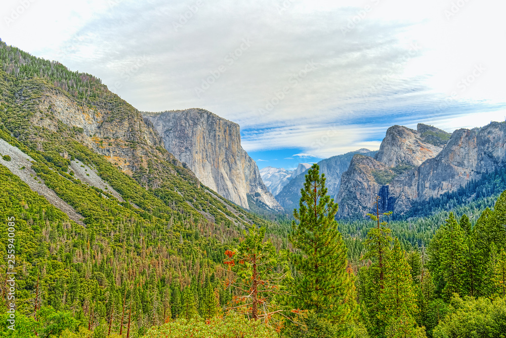 Magnificent national American natural park - Yosemite.