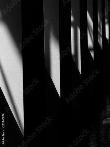 black and white light and shadow on wall in the room