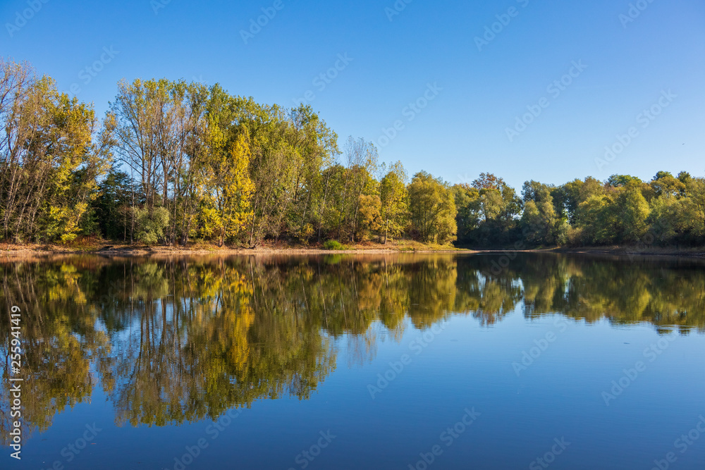 The autumn pond in sunlight, Germany