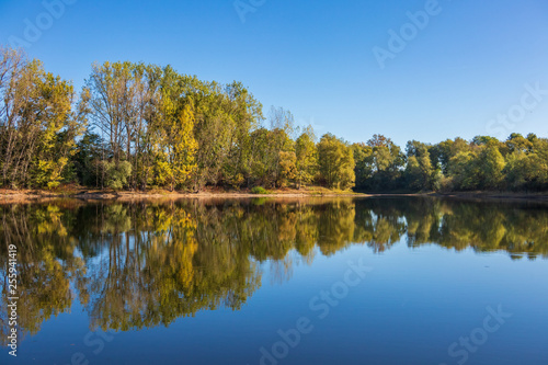 The autumn pond in sunlight, Germany