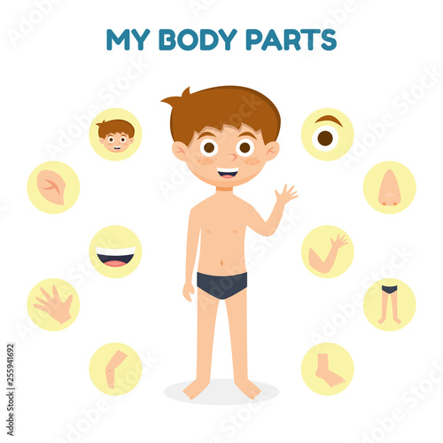 Vector illustration of a Kid Boy with Different Parts of the Body for Teaching. Vector illustration cartoon style.
