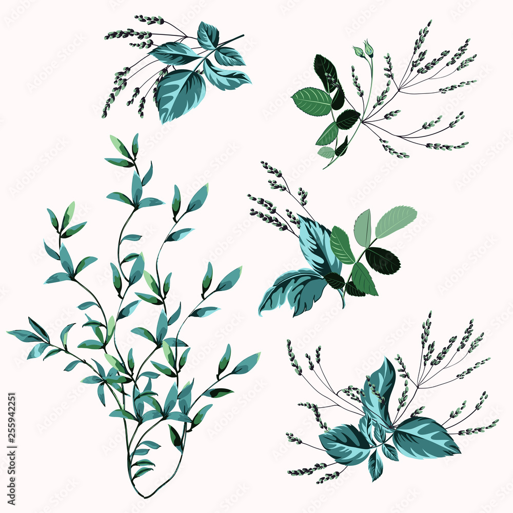 Obraz premium Set of floral bouquets, collection flower composition, greenery on white background.