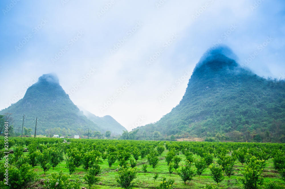Fototapeta premium Mountain in the mist scenery