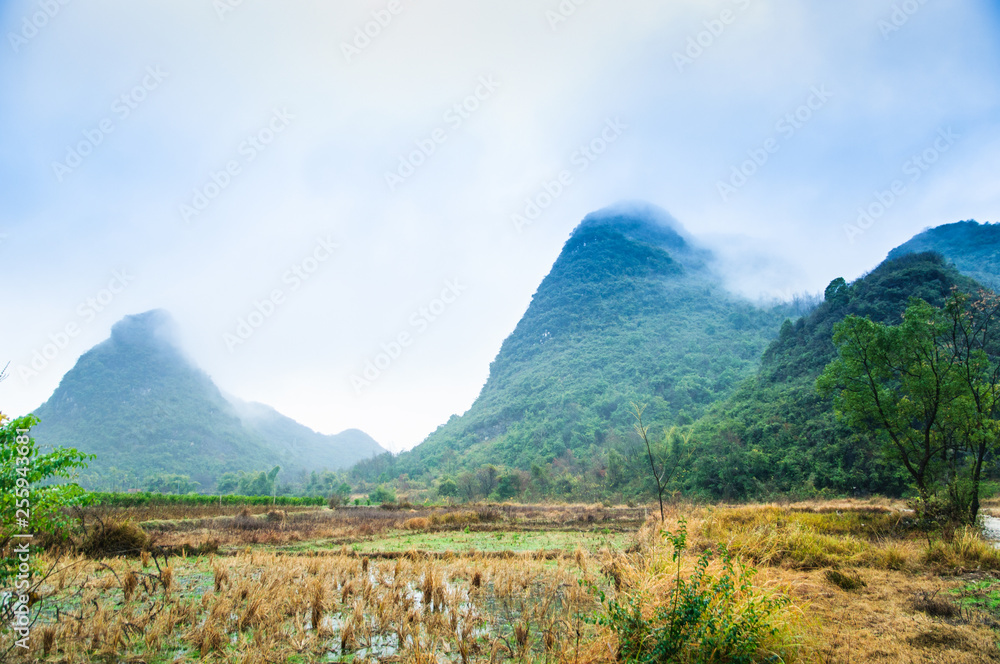 Mountain in the mist scenery