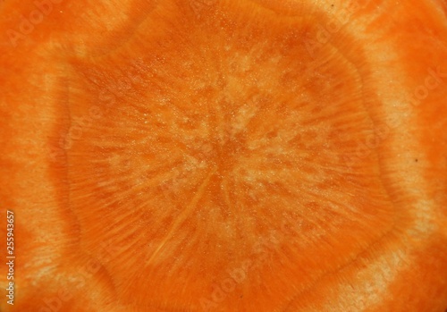 Macro carrot background 