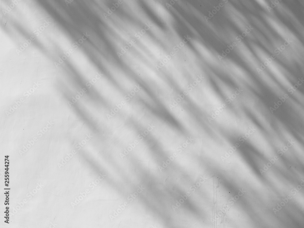 Fototapeta premium cień liści na białej ścianie