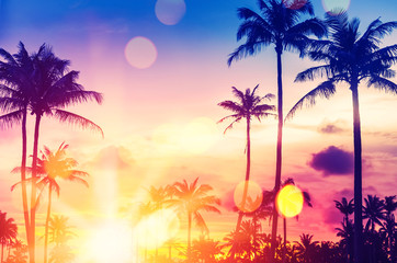 Tropical palm tree with colorful bokeh sun light on sunset sky cloud abstract background.