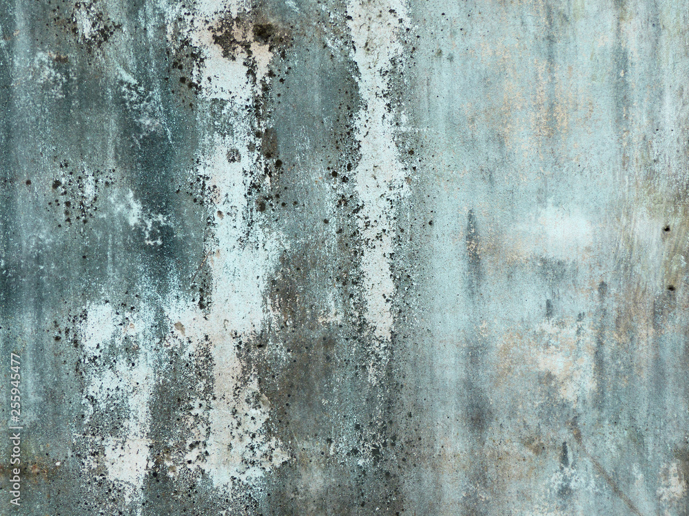 old dirty wall with mold texture old dirty wall with mold texture