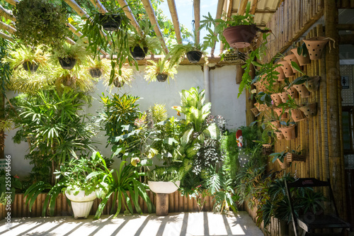 An internal garden with beautiful green plants and a really nice soft light coming from above