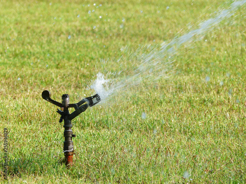 Sprinkler watering grass lawn in garden