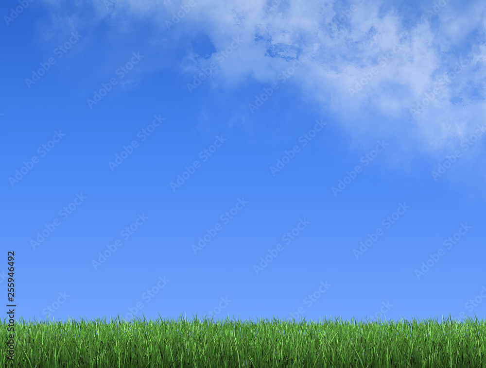 Grass Meadow and a blue Sky with Clouds Grass Meadow and a blue Sky with Clouds