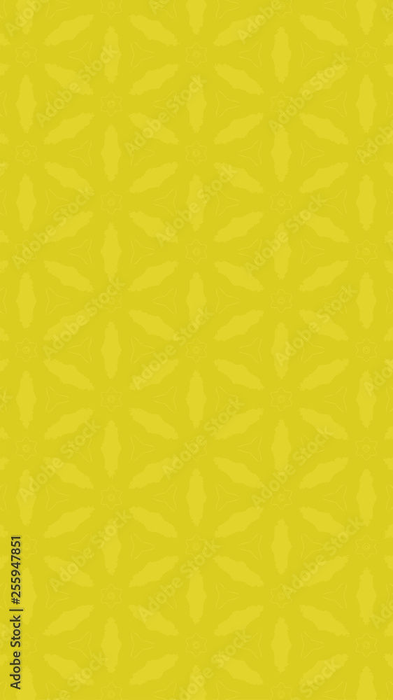 Ornate geometric pattern and two-tone abstract background