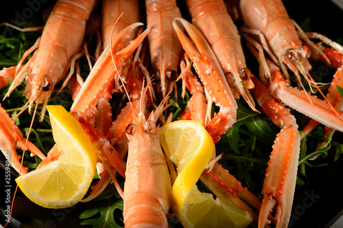 fresh grilled shrimps served on a plate with arugula or rocket and llemon photo