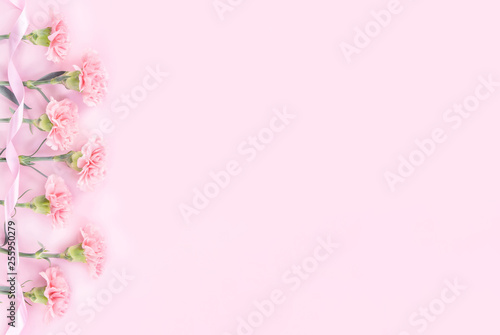 Beautiful elegance blooming baby pink color tender carnations in row isolated on bright pink background, mothers day greeting design concept,top view,flat lay,close up,copy space