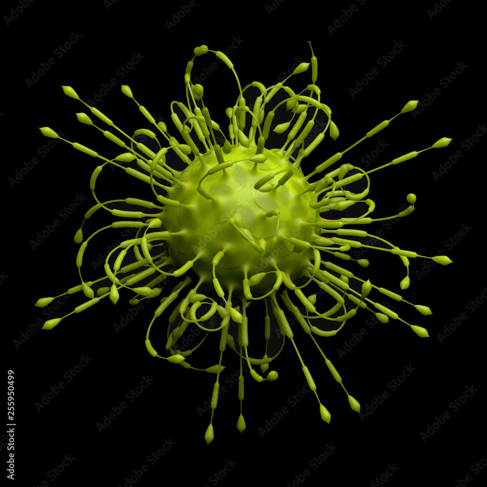 Pathogenic viruses causing infection in host organism Pathogenic viruses causing infection in host organism