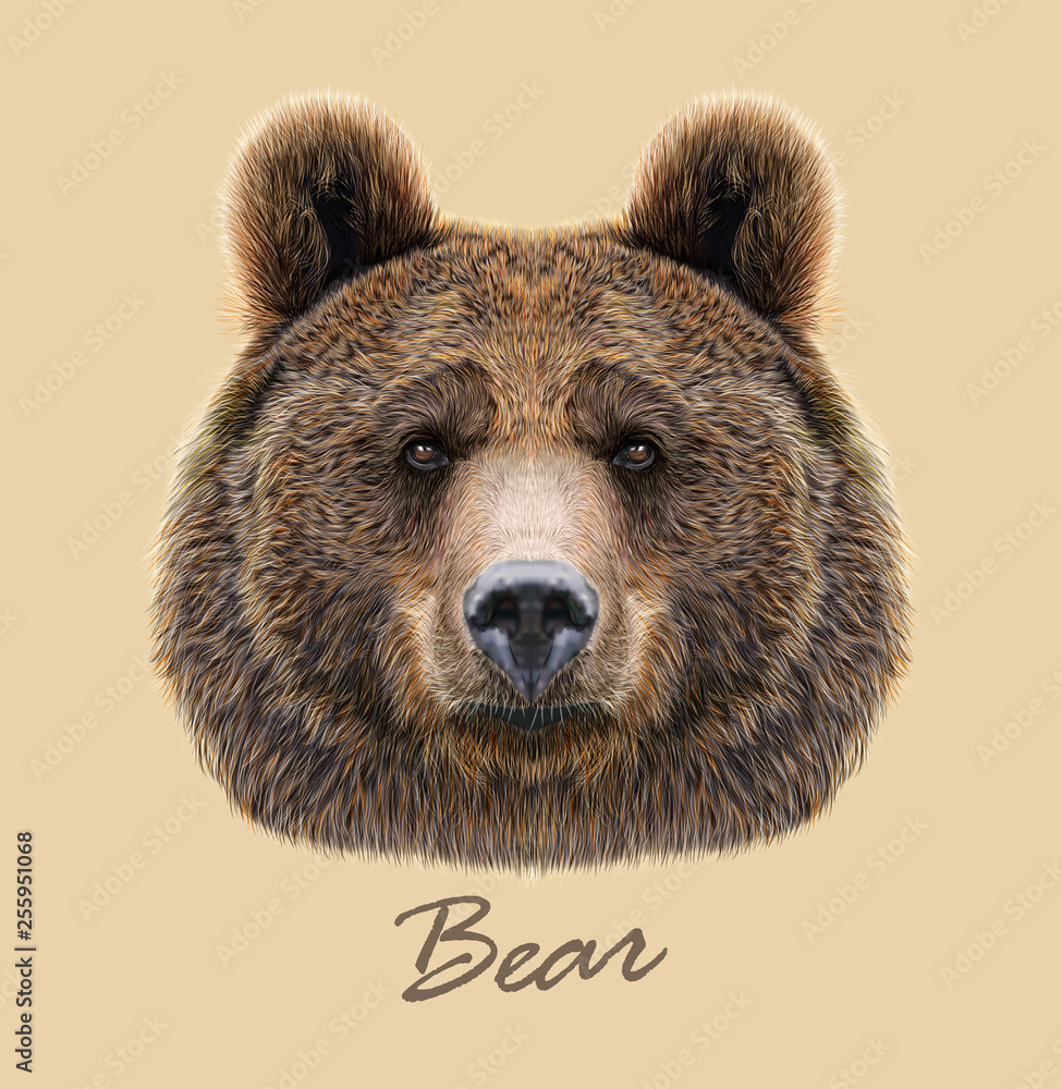 Как выглядит лицо медведя Bear wild animal face. Grizzly cute brown bear head portrait. Realistic fur port
