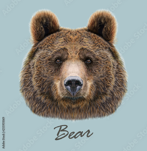 Bear wild animal face. Grizzly cute brown bear head portrait. Realistic fur portrait of brown large bear isolated on blue background. 