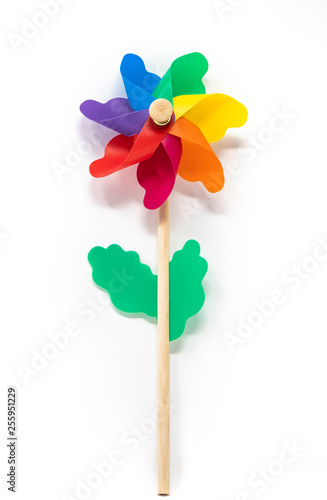 A Catherine wheel wind (pinwheel) isolated on white background. Colors: green, yellow, blue, purple, fuchsia, orange, red. Child's toy made of plastic curls attached to a wooden stick. Like a flower. photo