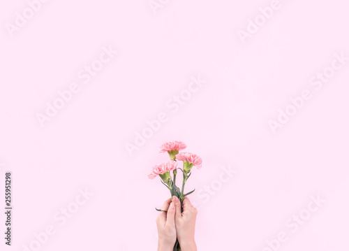 Woman giving bunch of elegance blooming baby pink color tender carnations isolated on bright pink background, mothers day decor design concept, top view, close up, copy space © RomixImage