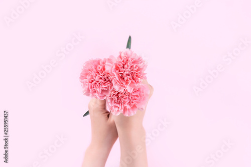 Woman giving bunch of elegance blooming baby pink color tender carnations isolated on bright pink background, mothers day decor design concept, top view, close up, copy space