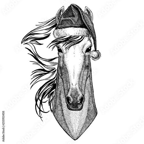 Horse, hoss, knight, steed, courser wearing christmas Santa Claus hat. Hand drawn image for tattoo, emblem, badge, logo, patch