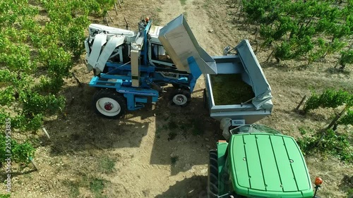 Vendanges mécaniques dans les vignes