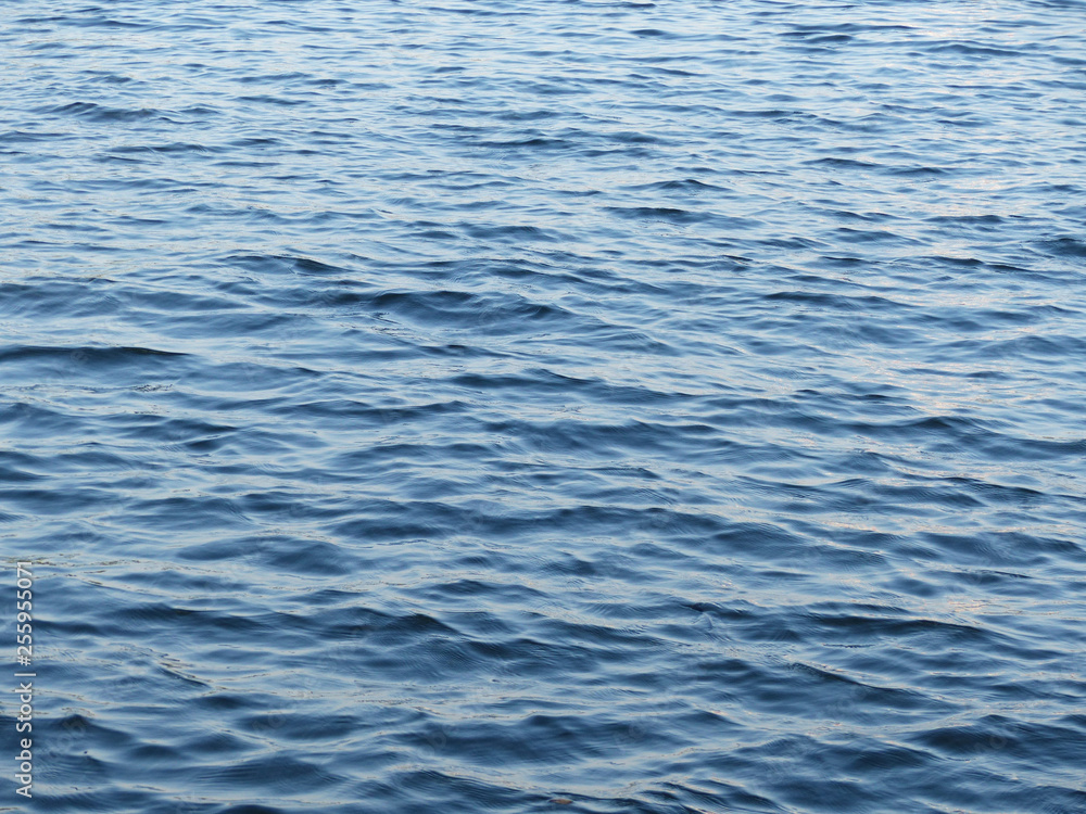 Fototapeta premium blue water wave texture