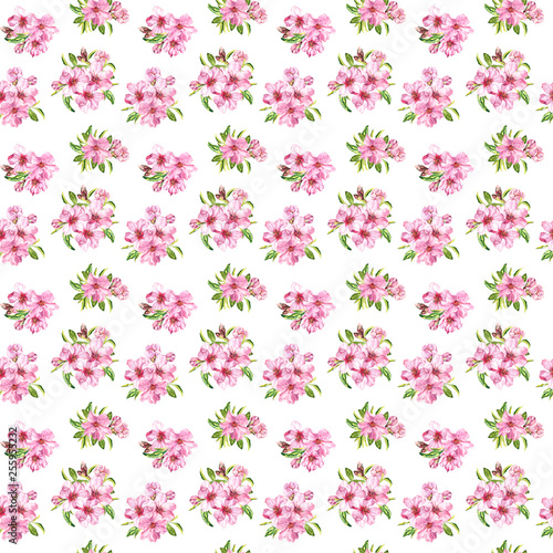 Spring flowers blossom sakura, cherry or apple tree. Floral seamless pattern. Water color