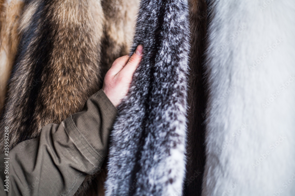 manufacture of fur animals in the workshop. manufacture of fur animals in the workshop.