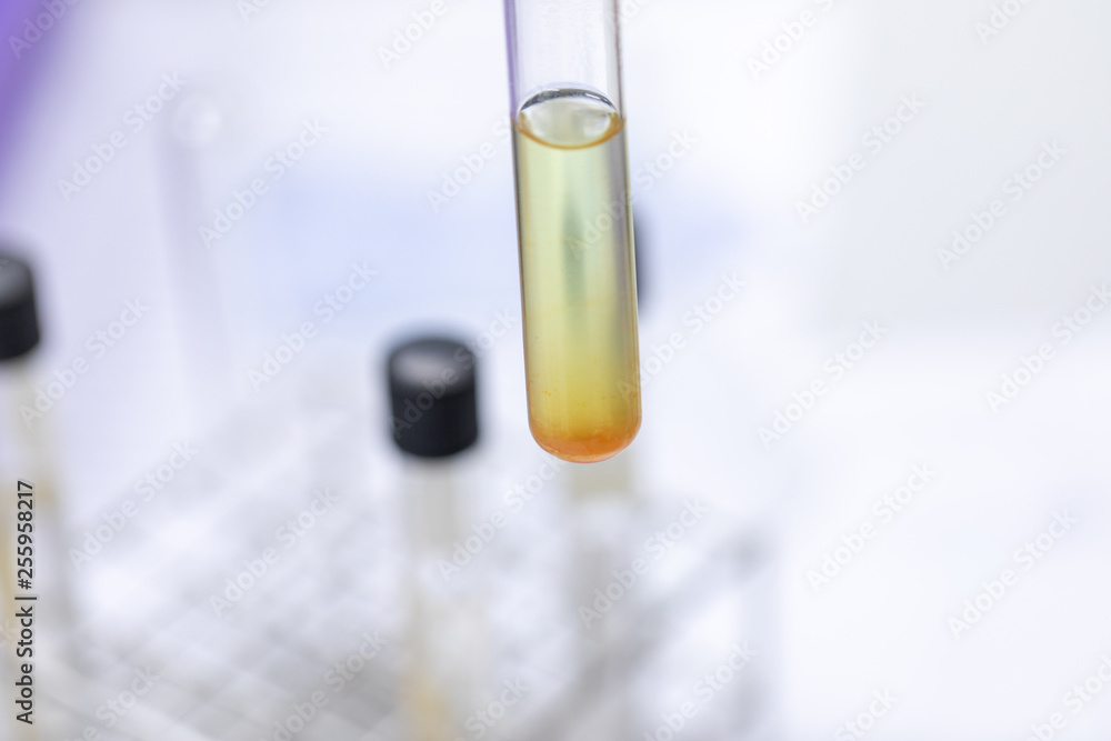 Study of Chromatography is used to separate components of a plant. Study of Chromatography is used to separate components of a plant.