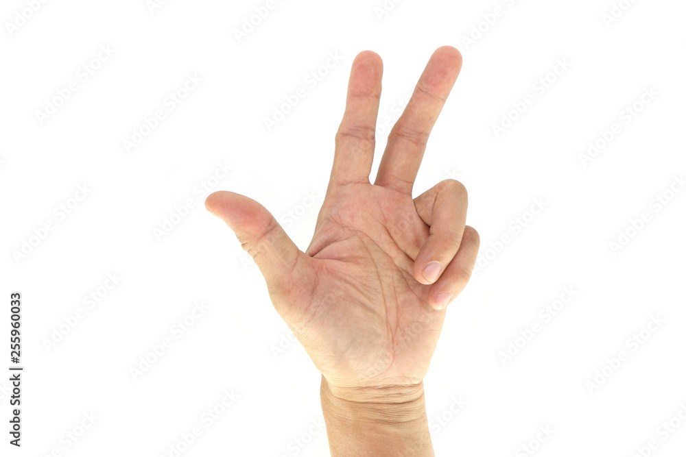 Army/Swat Tactical Hand Signals Signal : 3 (Three) isolated on white background. Army/Swat Tactical Hand Signals Signal : 3 (Three) isolated on white background.
