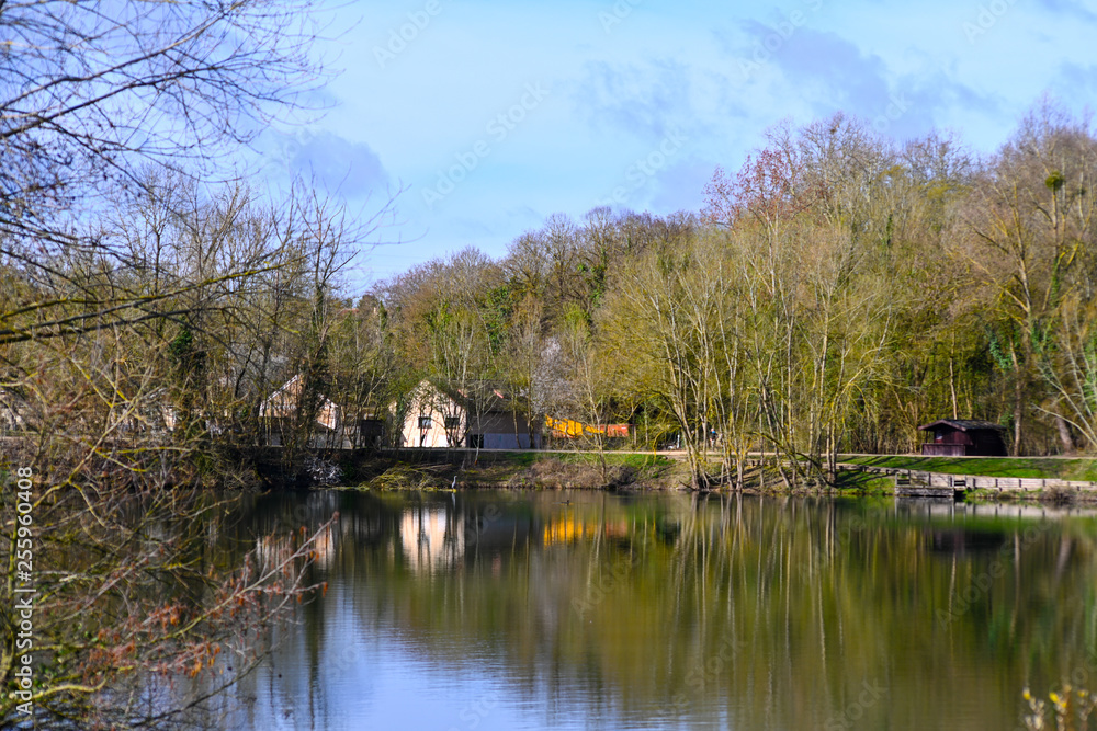 Les bords du lac