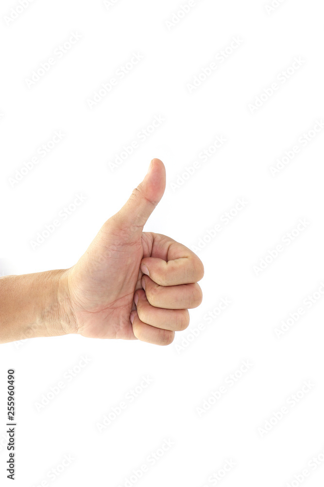 Hand Signals isolated on white background. Hand Signals isolated on white background.
