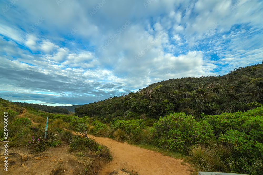 Panoramic Mountain Landscape National Park Sri Lanka.