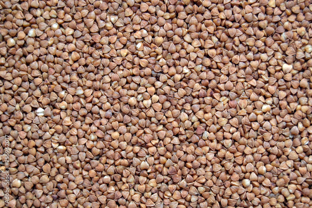 Buckwheat groats (lat. Fagopýrum esculéntum), top view, close-up. Healthy, natural food. Buckwheat groats (lat. Fagopýrum esculéntum), top view, close-up. Healthy, natural food.