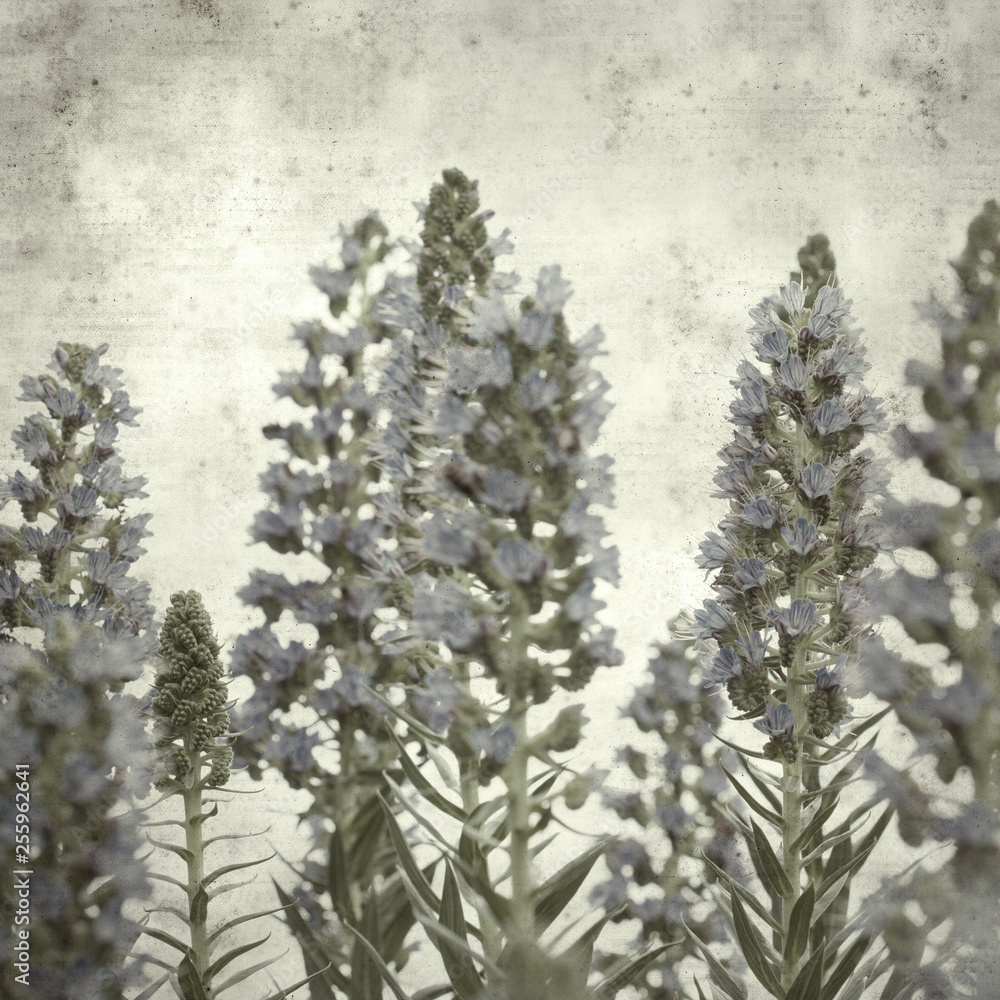  old paper background